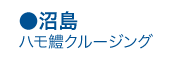 沼島ハモ鱧クルージング