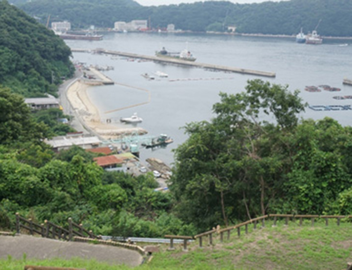 島々が織りなす絶景クルーズ